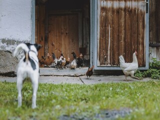Maison de vacances Fusch  36