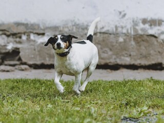 Casa per le vacanze Fusch  37