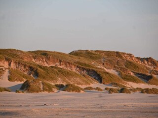 Vakantiehuis Blokhus  8