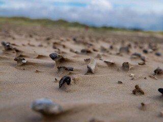 Ferienhaus Blokhus  16