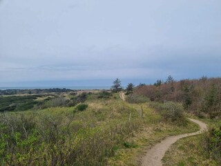 Ferienhaus Blokhus  17