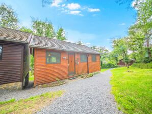 Chalet Au Petit Bonheur in der Nähe von Somme-Leuze mit Kamin - Somme-Leuze - image1