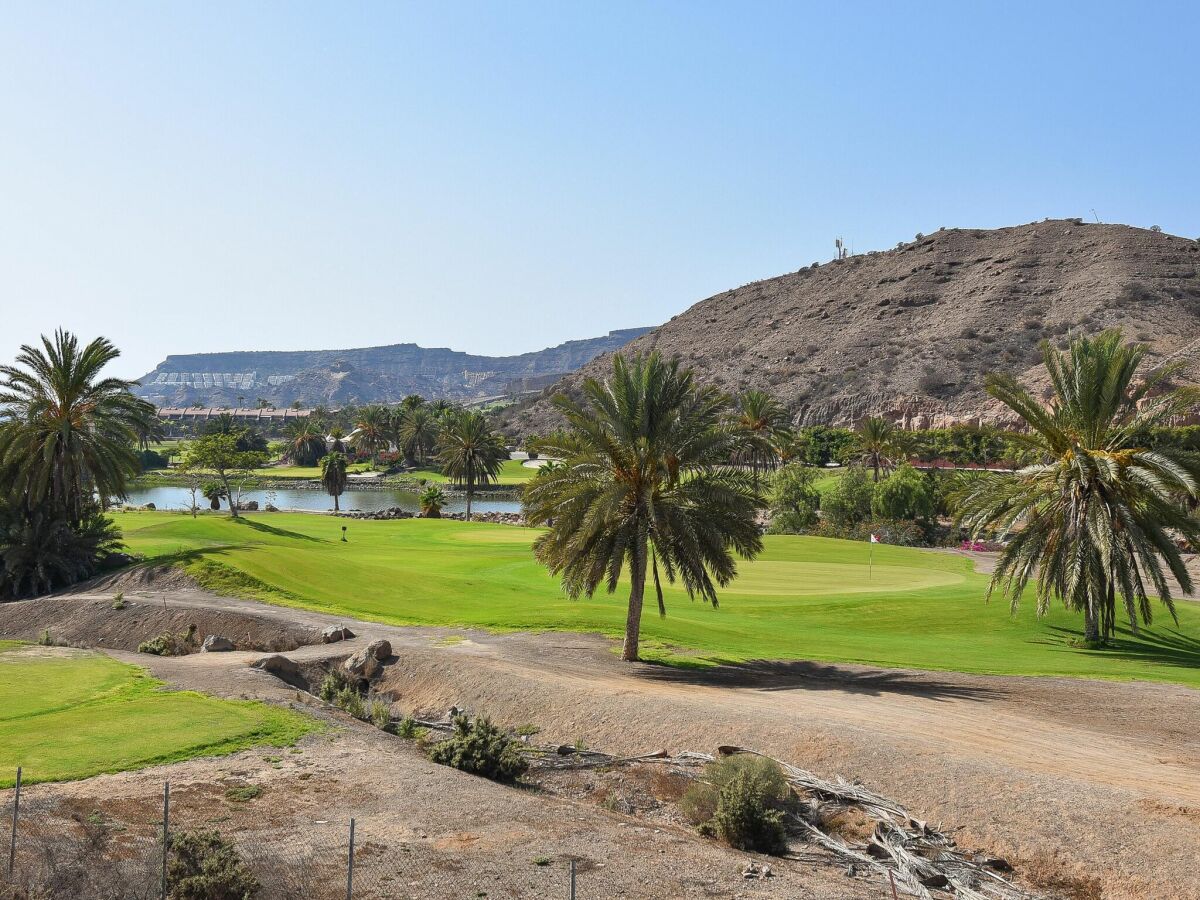 Ferienhaus Puerto Rico (Gran Canaria) Umgebung 31