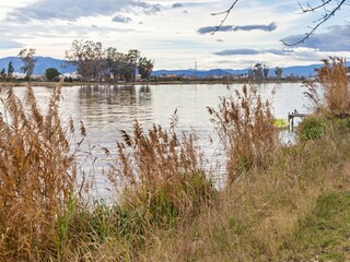 Holiday house Eucaliptus-Playa Environment 33