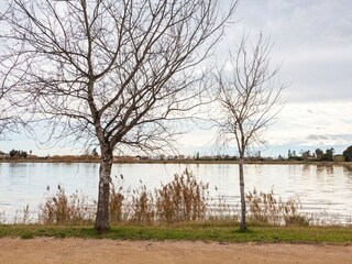 Maison de vacances Eucaliptus-Playa Environnement 31