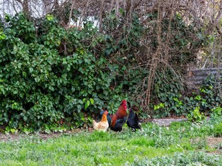 Vakantiehuis Eucaliptus-Playa Omgeving 32