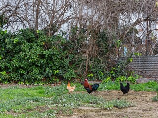 Casa de vacaciones Eucaliptus-Playa Entorno 33