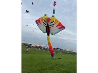 Drachenfest am Dangaster Strnad