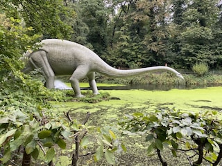 Ferienhaus Olbersdorf Umgebung 28