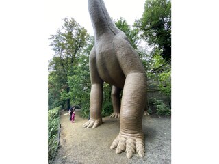 Vakantiehuis Olbersdorf Omgeving 29