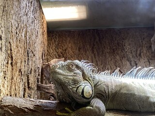 Casa per le vacanze Olbersdorf Ambiente 30