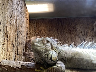 Ferienhaus Olbersdorf Umgebung 30