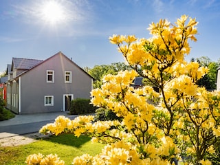 Ferienhaus Olbersdorf Außenaufnahme 4