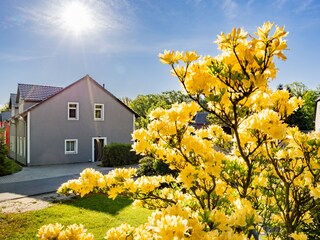 Maison de vacances Olbersdorf Enregistrement extérieur 4