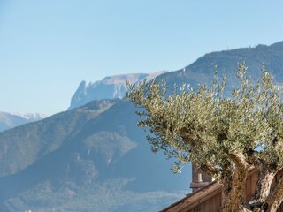 Apartamento de vacaciones Eppan Entorno 32