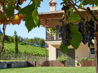 Holiday apartment Eppan Outdoor Recording 7