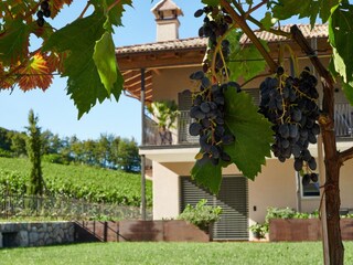 Appartamento per vacanze Eppan Registrazione all'aperto 3