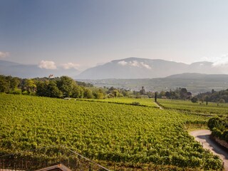 Apartamento de vacaciones Eppan Entorno 27