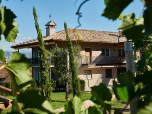 Ferienwohnung Château Moos