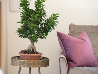 Holiday apartment Eppan Features 23