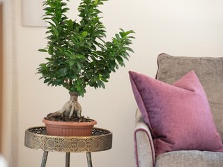 Vakantieappartement Eppan Kenmerken 23