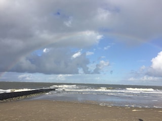 Ferienwohnung Baltrum Umgebung 10