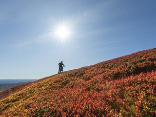 Casa per le vacanze Trysil Ambiente 36