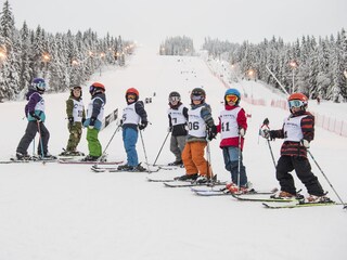 Casa de vacaciones Trysil Entorno 30