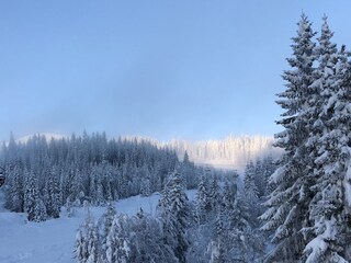 Winter im Trysilfjell