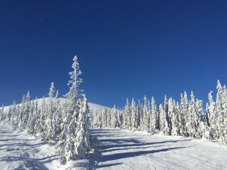 Casa de vacaciones Trysil Entorno 26