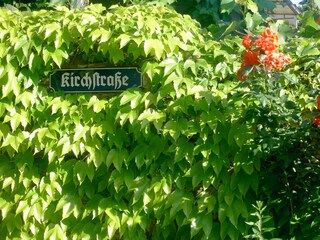 Apartamento de vacaciones Mesenich Grabación al aire libre 6