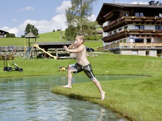 Appartamento per vacanze Hollersbach im Pinzgau Ambiente 10