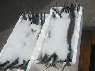 Ferienwohnung Lubmin Umgebung 16