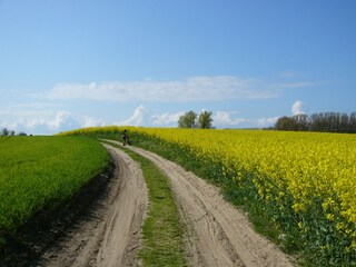 Ferienwohnung Lubmin Umgebung 21