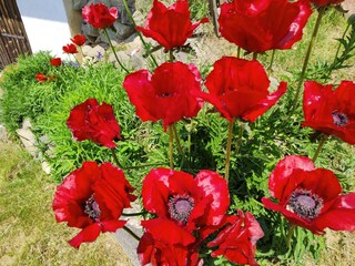 Appartamento per vacanze Völs am Schlern Registrazione all'aperto 7