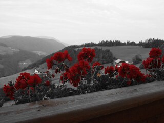 Appartamento per vacanze Völs am Schlern Registrazione all'aperto 10