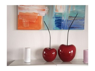 Vakantieappartement Maccagno Kenmerken 23