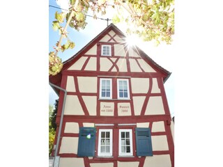 Apartamento Hofheim Entorno 19