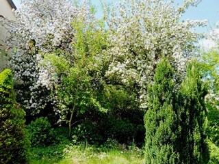 Vakantiehuis Schladt Buitenaudio-opname 5