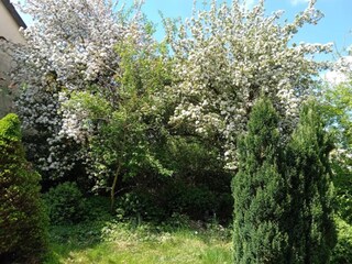 Casa per le vacanze Schladt  36