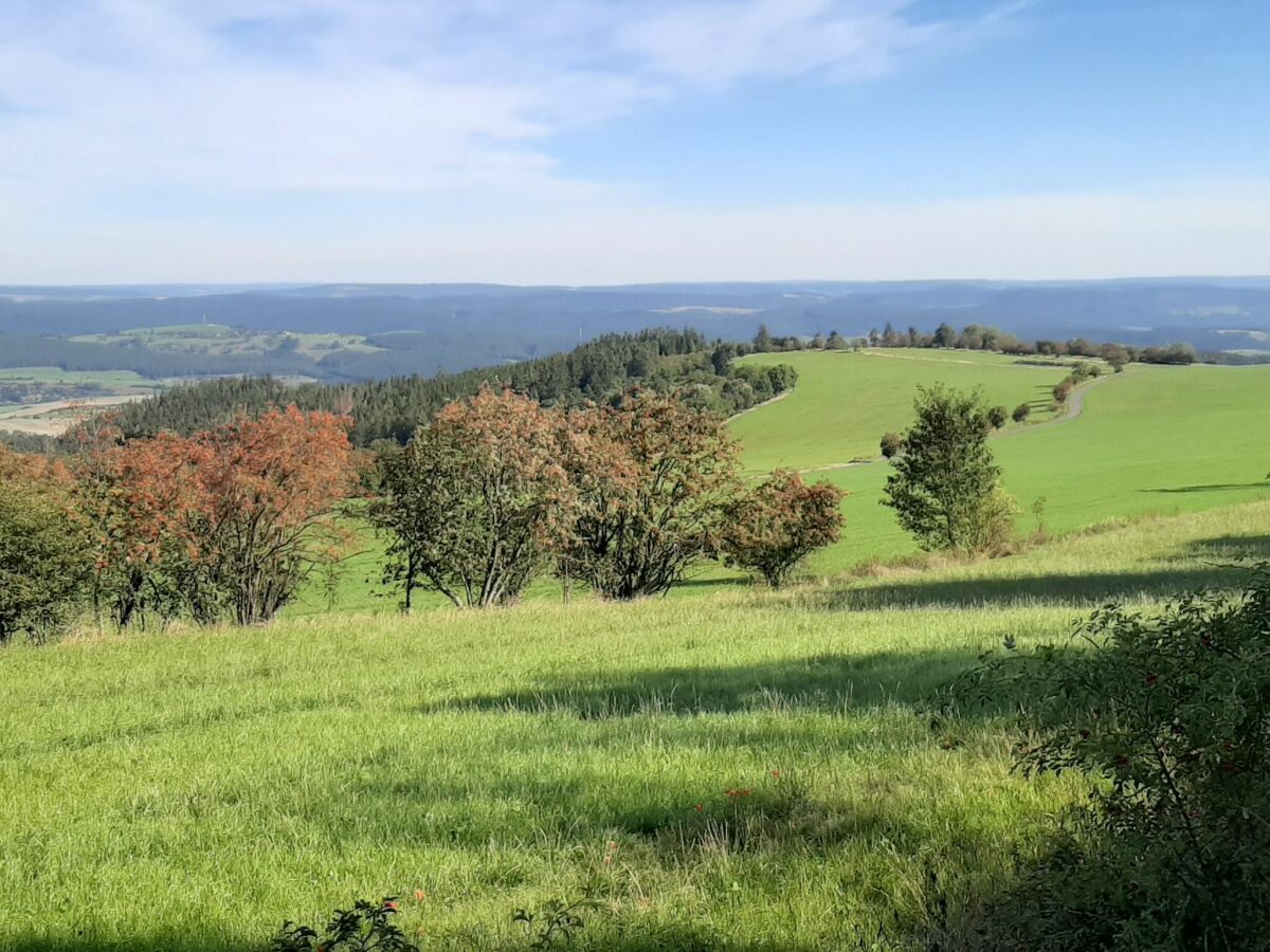 Ferienhaus Altenfeld Umgebung 26