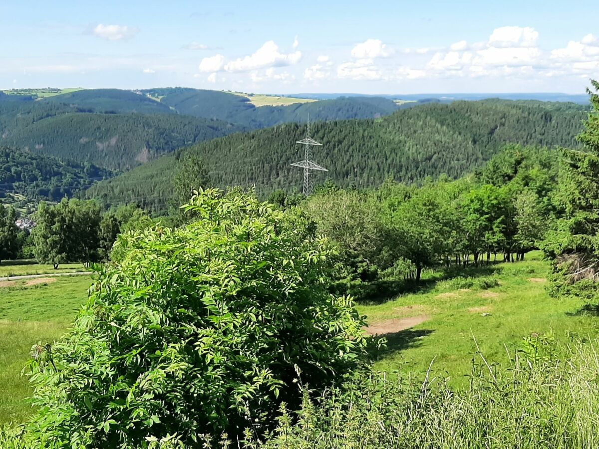 Ferienhaus Altenfeld Umgebung 28