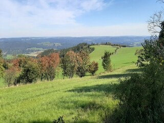 Vakantiehuis Altenfeld Omgeving 26