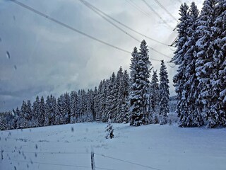 Casa per le vacanze Altenfeld Ambiente 37