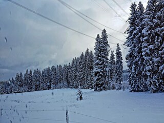 Maison de vacances Altenfeld Environnement 23