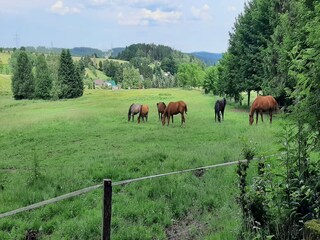 Casa per le vacanze Altenfeld Ambiente 27