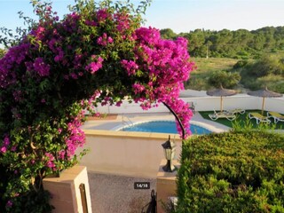 Vakantiehuis San Miguel de Salinas Buitenaudio-opname 7