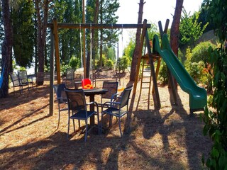 Type de propriété : Ferme Montaione  36