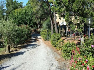 Farmhouse Montaione Environment 35