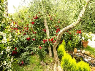 Farmhouse Montaione  38